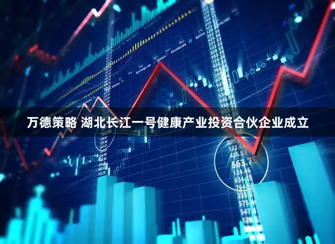 万德策略 湖北长江一号健康产业投资合伙企业成立