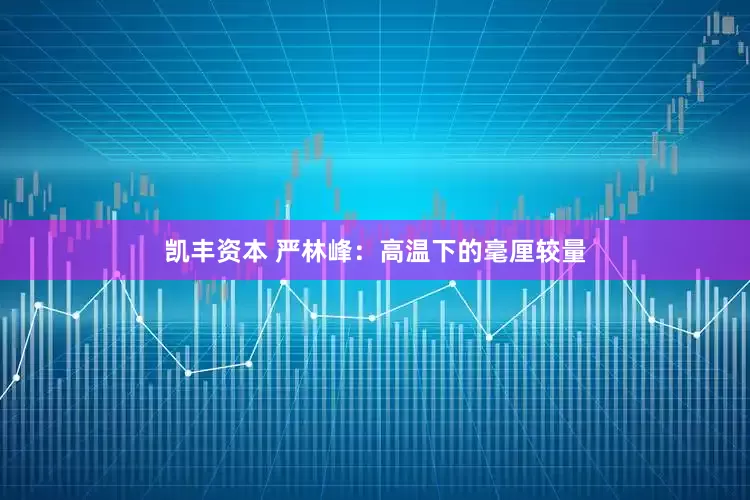 凯丰资本 严林峰：高温下的毫厘较量