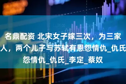 名鼎配资 北宋女子嫁三次，为三家各生一个名人，两个儿子与苏轼有恩怨情仇_仇氏_李定_蔡奴