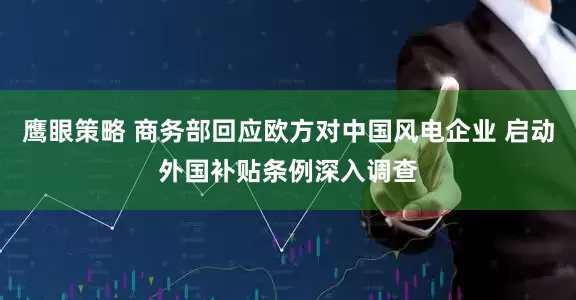 鹰眼策略 商务部回应欧方对中国风电企业 启动外国补贴条例深入调查